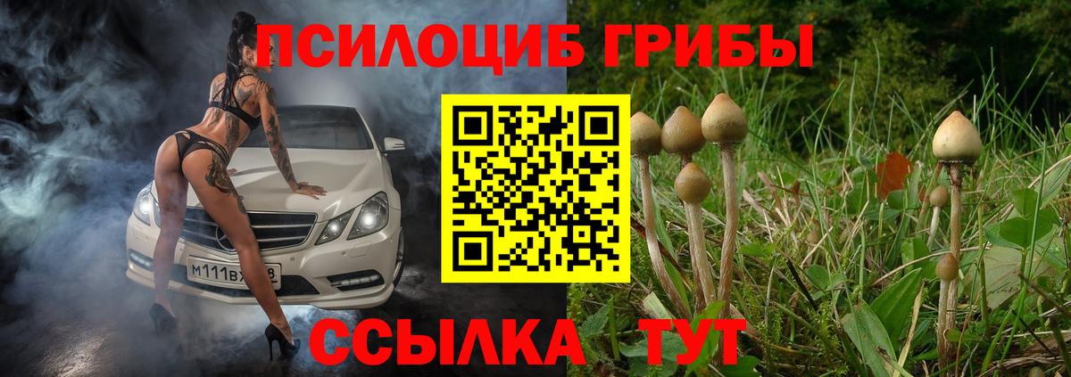 Галлюциногенные грибы ЛСД Лянтор